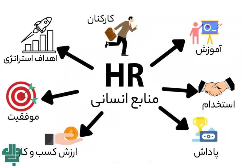 نقش منابع انسانی در موفقیت سازمان‌ها