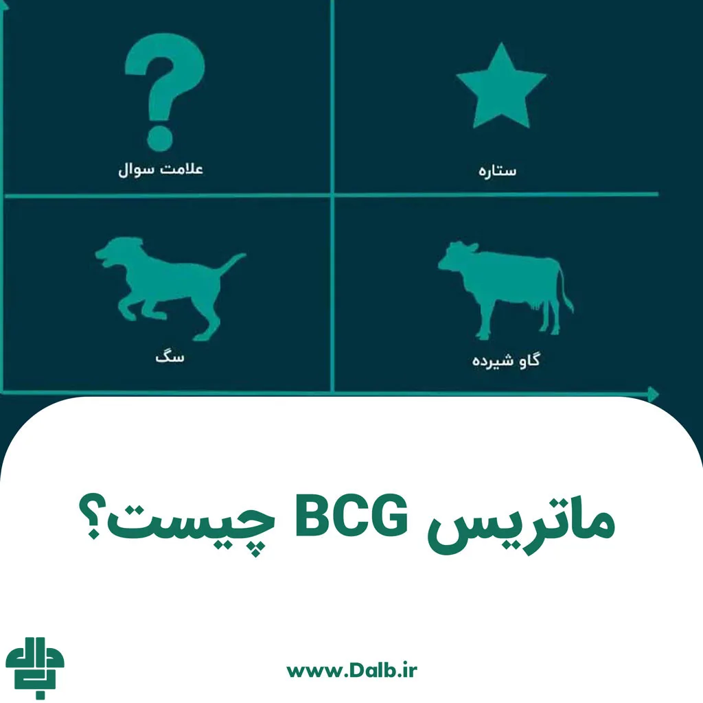 ماتریس BCG چیست؟