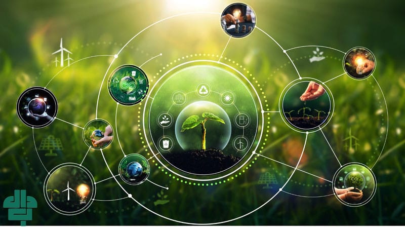 نقش توسعه پایدار در کسب‌ و کارهای ایرانی