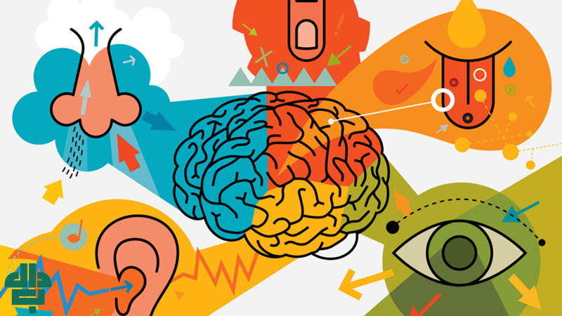 انواع بازاریابی حسی