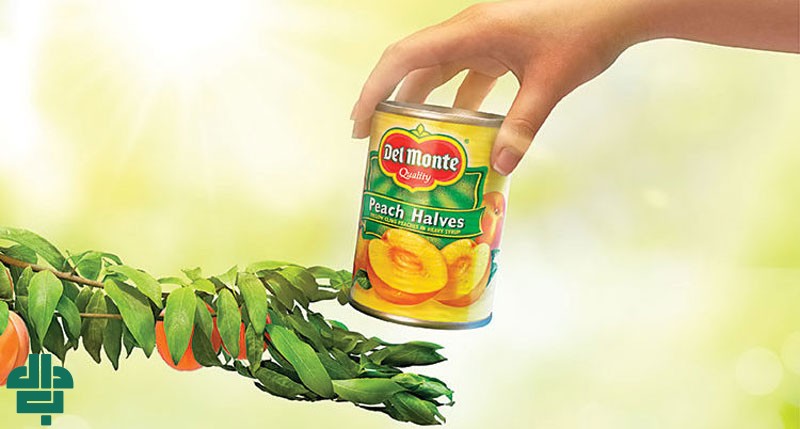 مهمترین اصول تبلیغات مواد غذایی